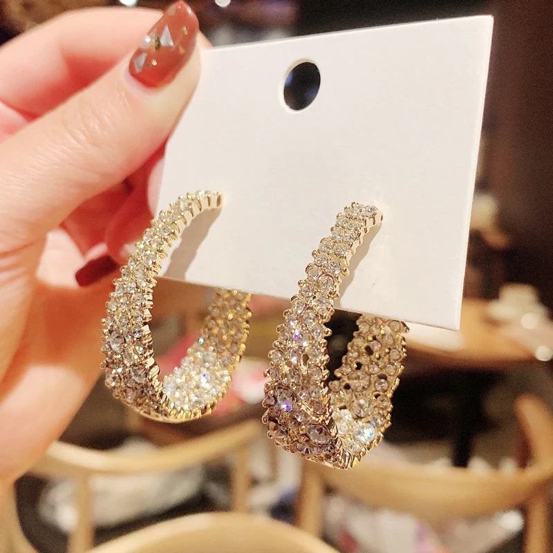 Uilz Circle Shape Zirconia Earrings - Fanci Goddess