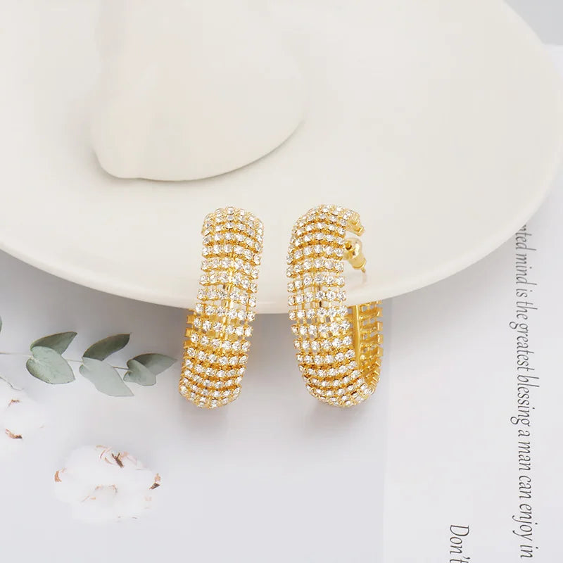 Uilz Circle Shape Zirconia Earrings