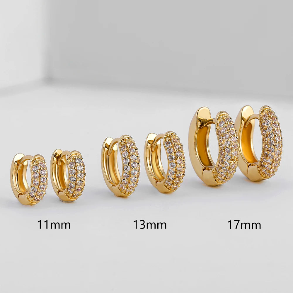 Stainless steel Gold Plated CZ Zircon Earrings - Fanci Goddess