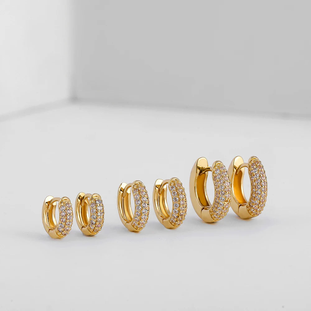 Stainless steel Gold Plated CZ Zircon Earrings